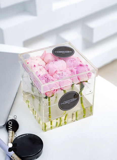 картинка Бокс из 9 "Сара Бернар"