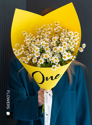 Букет из 7 ромашек "Дейзи"