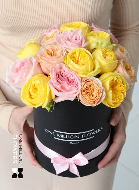 Коробка "Марли Фреш" Black