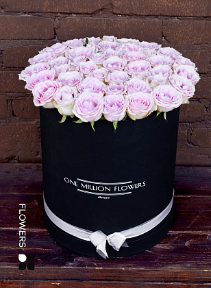 Коробка "Ультравайлет" Black - Mini